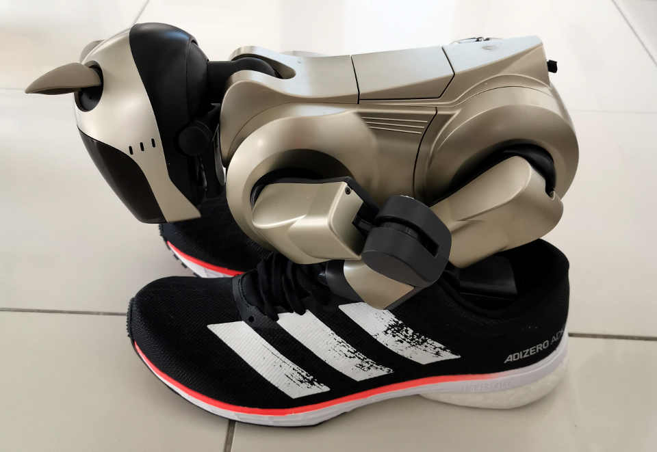 aibo with adizero